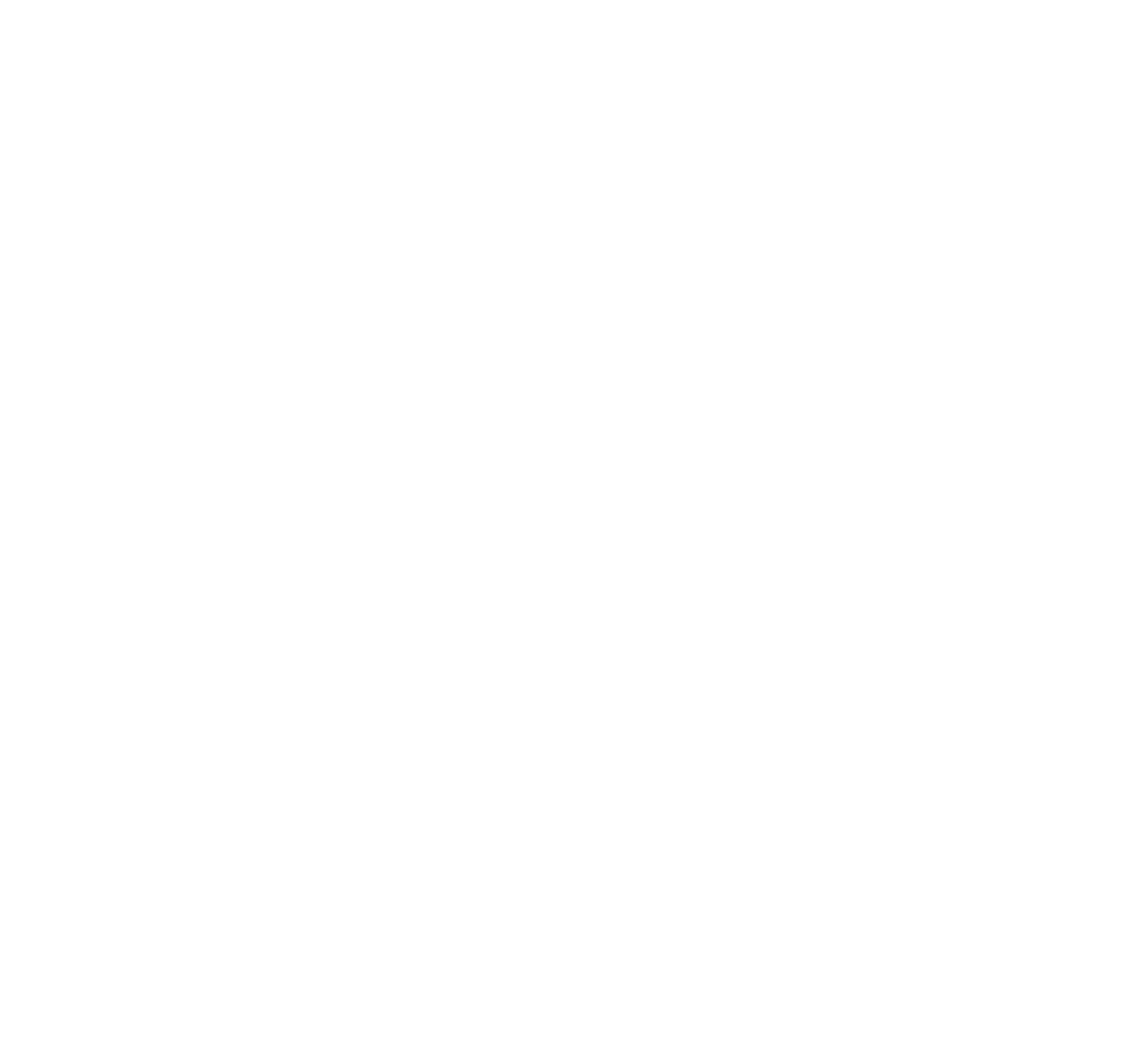 Down South Auto Detail and Paint Correction